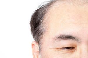 自然のパワーを知る’コンビタ社’について